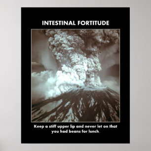 intestinal-fortitude-keep-a-stiff-upper-lip poster