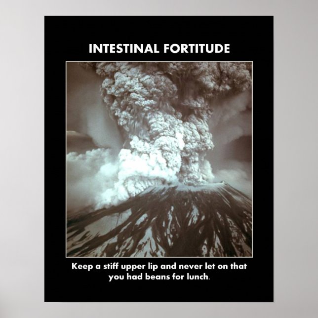 intestinal-fortitude-keep-a-stiff-upper-lip poster (Front)