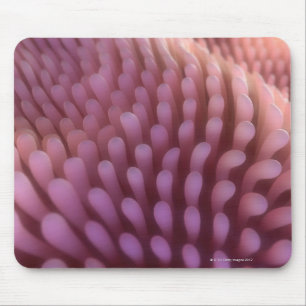 Intestinal Villi Mouse Pad