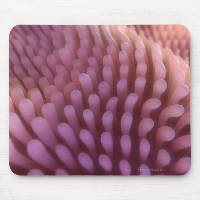 Intestinal Villi Mouse Pad (Front)