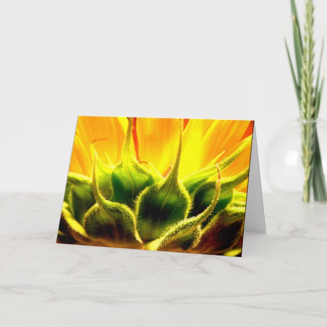 Intimacy Thank You Card (Front)