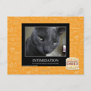 Intimidation Postcard