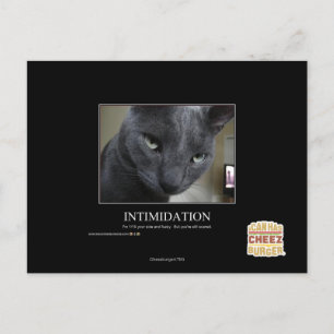 Intimidation Postcard
