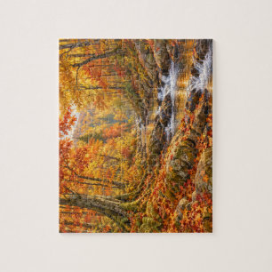 Into Amber Woods Autumn Stream Puzzle