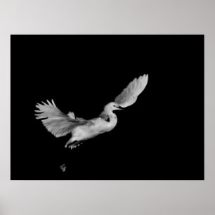 into the blackness print