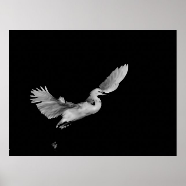 into the blackness print (Front)