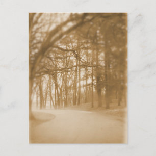 Into the Fog - Postcard