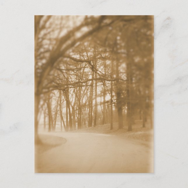 Into the Fog - Postcard (Front)