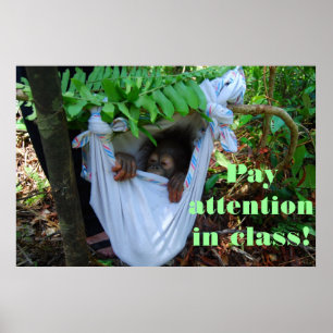 Into the Forest for Orangutan School Poster