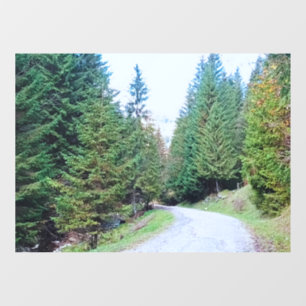 Into the Forest Heart - Wild Nature Romania