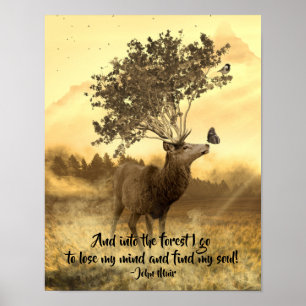 Into the Forest I Go, John Muir Nature Quote Poster