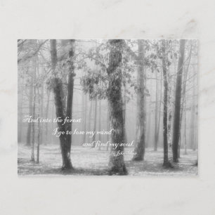 Into the Forest I Go - Postcard