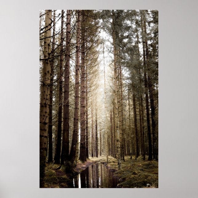 INTO THE FOREST POSTER (Front)