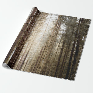 INTO THE FOREST WRAPPING PAPER