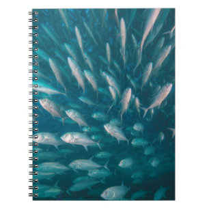 Into The Jacks Notebook