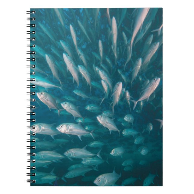 Into The Jacks Notebook (Front)
