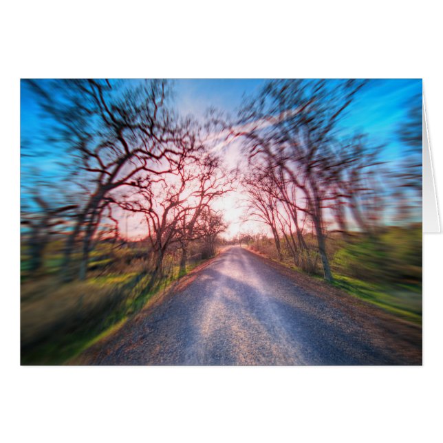 Into the Light (Front Horizontal)