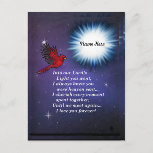 Into the light cardinal postcard