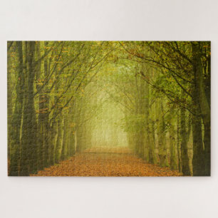 Into the light fall forest jigsaw puzzle