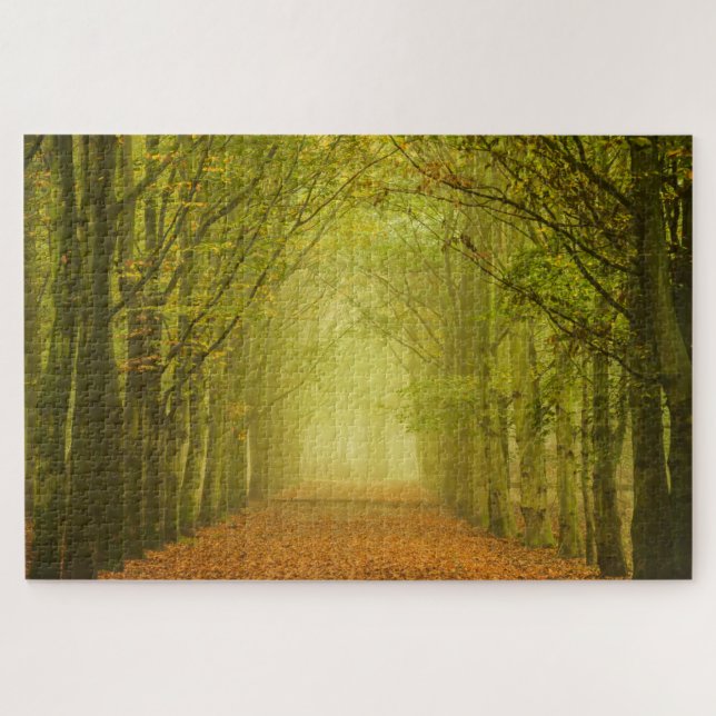 Into the light fall forest jigsaw puzzle (Horizontal)