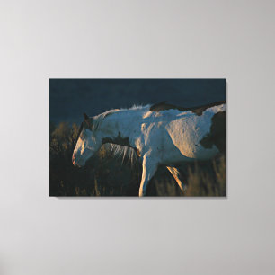"Into the Light" Shaman Medicine Hat Stallion Canvas Print