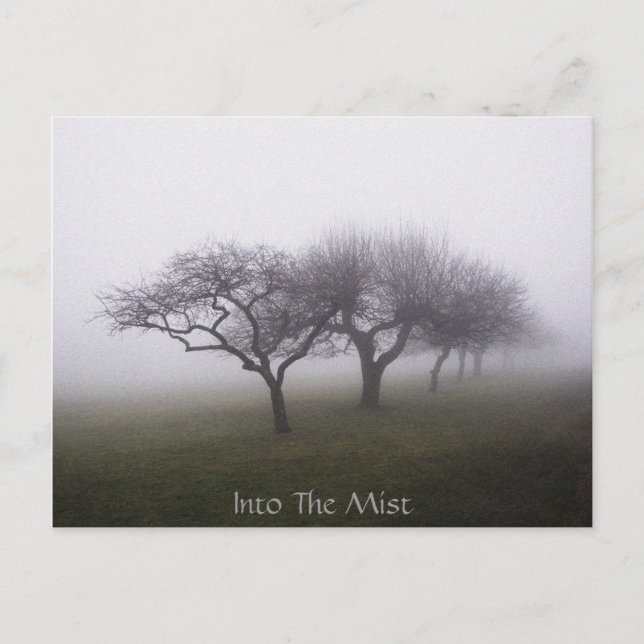 Into The Mist Postcard (Front)