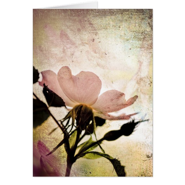 Into the Mystic (Front)