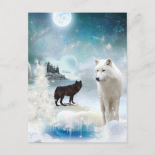 Into The Mystic Wild Postcard