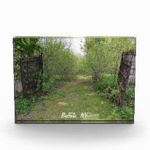 Into the Paths of Wonderment and Mirth