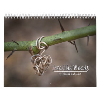 Into The Woods 12-Month Calendar