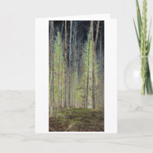 "Into the Woods" Digitally Transformed Forest Card