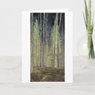 "Into the Woods" Digitally Transformed Forest Card