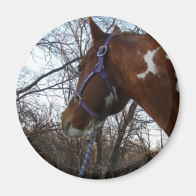 Into the Woods I Look Magnet (Front)