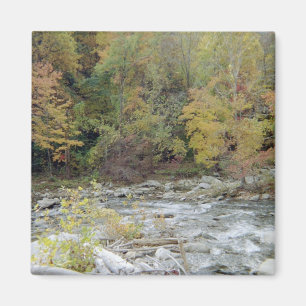 Into the Woods Magnet