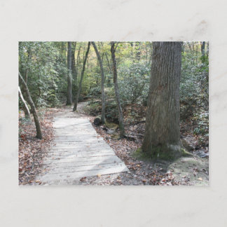 Into the Woods Postcard