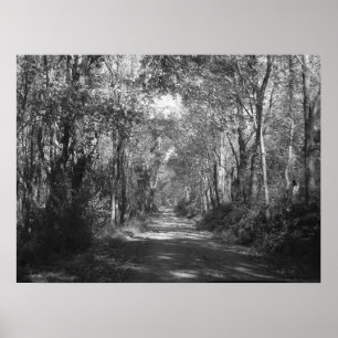 "Into the Woods" Poster