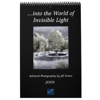 ...into the World of Invisible Light Calendar