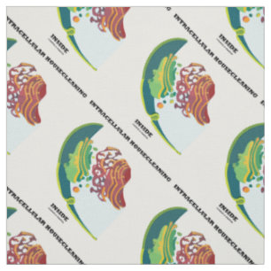 Intracellular Housecleaning Inside Endomembrane Fabric