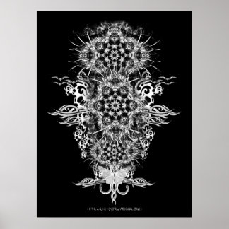 INTRAKiZI Poster