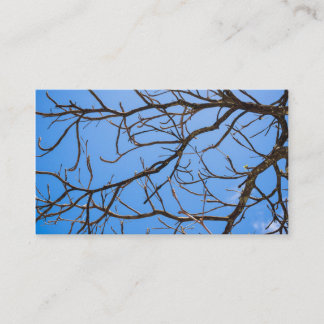 Intricate Bare Branches Silhouette Against Vivid B Business Card