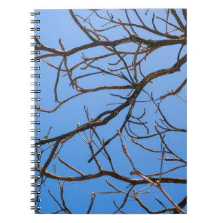 Intricate Bare Branches Silhouette Against Vivid B Notebook