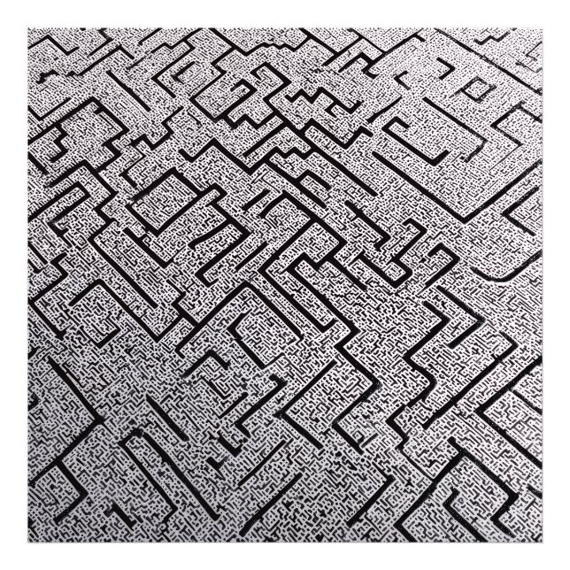 Intricate Black & White Labyrinth Maze Photo Print (Front)