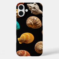 Intricate Seashells