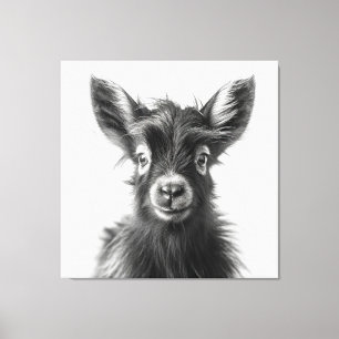Intriguing Monochromatic Harmonious Baby Goat Canvas Print