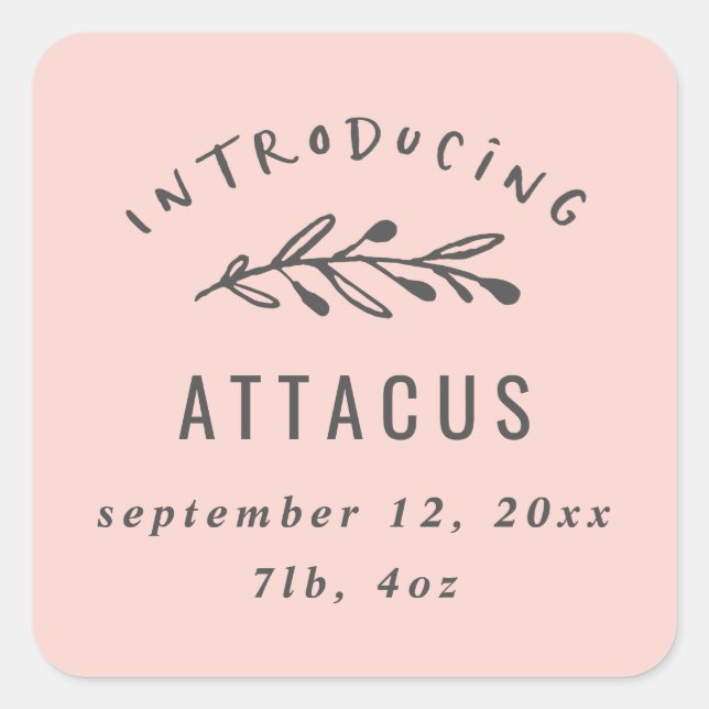 Introducing branch birth announcement square sticker (Front)