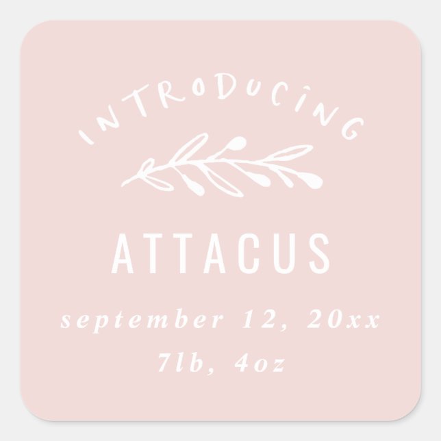 Introducing branch birth announcement square sticker (Front)