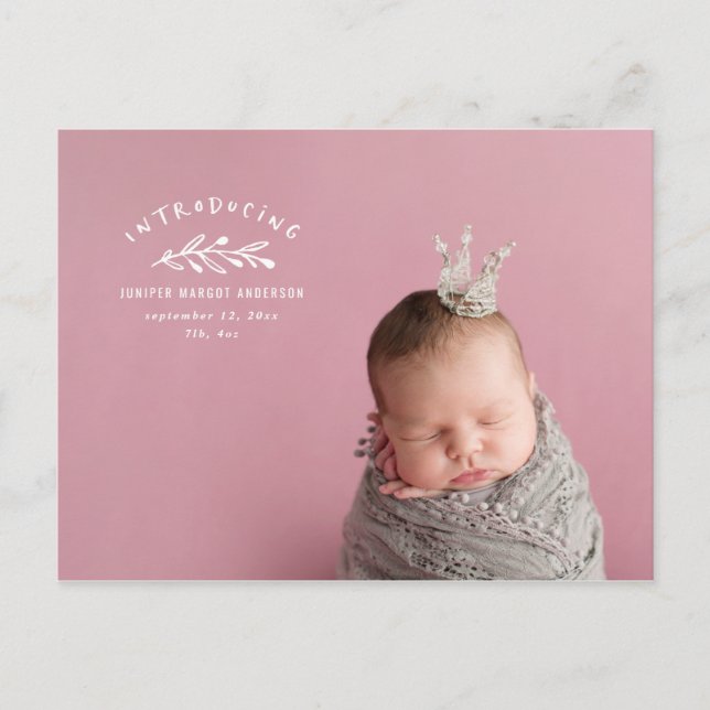 Introducing branch photo birth announcement postcard (Front)