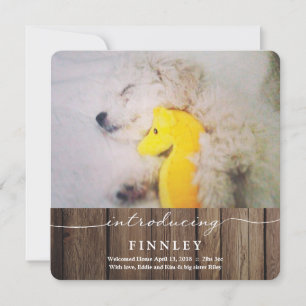 Introducing New Pet   Baby Announcement