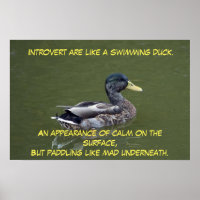 Introvert Duck