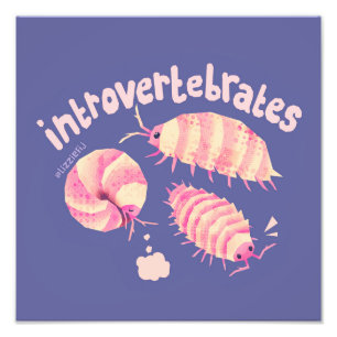 Introvertebrates isopods - medium art print